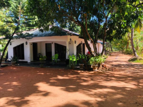 New Dambulla City Hostel